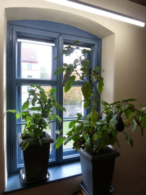 tg_151030.jpg