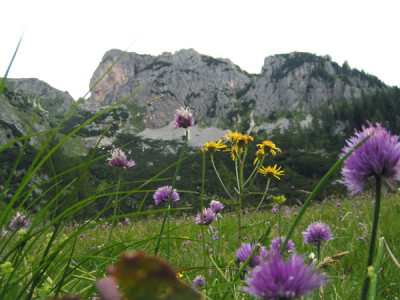 berg061.jpg