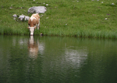 berg062.jpg