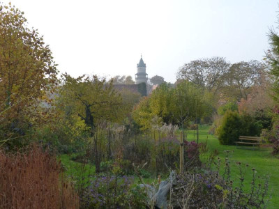 2015-10-30 Garten.jpg