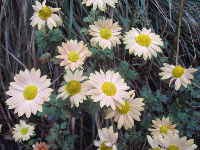 PICT0032.JPG