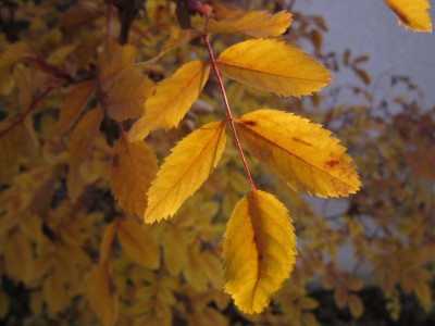 151030_17.JPG