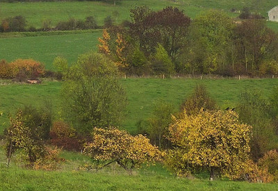 herbst b.jpg