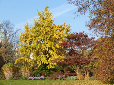 2015-10-31 Freundschaftsinsel 1.jpg