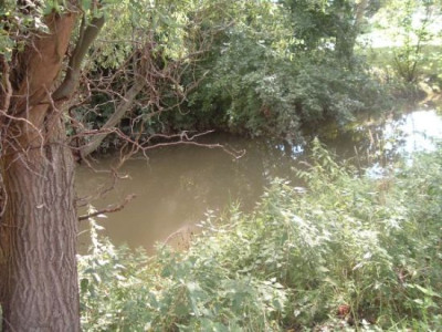Kraichbach.jpg
