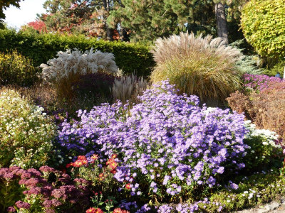 2015-10-31 Foerstergarten 1.jpg