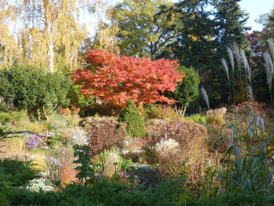 2015-10-31 Foerstergarten 2.jpg