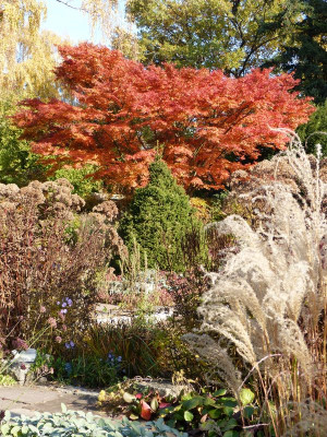 2015-10-31 Foerstergarten 3.jpg