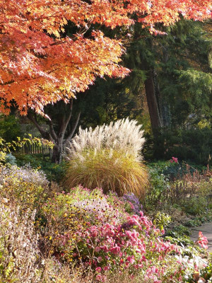 2015-10-31 Foerstergarten 6.jpg