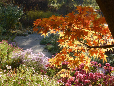 2015-10-31 Foerstergarten 8.jpg