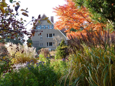 2015-10-31 Foerstergarten 9.jpg