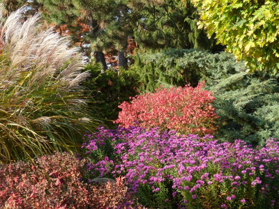 2015-10-31 Foerstergarten 12.jpg