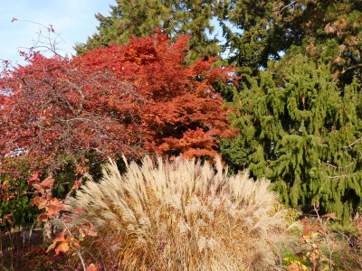 2015-10-31 Foerstergarten 14.jpg