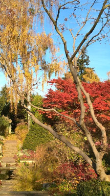 2015-10-31 Foerstergarten 15.jpg