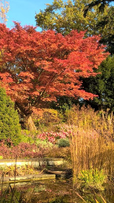 2015-10-31 Foerstergarten 16.jpg