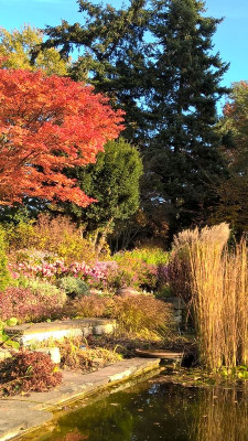 2015-10-31 Foerstergarten 18.jpg