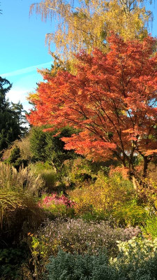 2015-10-31 Foerstergarten 19.jpg