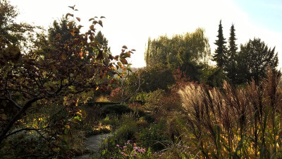 2015-10-31 Foerstergarten 20.jpg