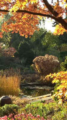 2015-10-31 Foerstergarten 21.jpg