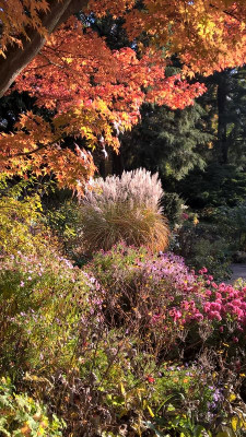 2015-10-31 Foerstergarten 24.jpg