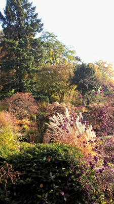 2015-10-31 Foerstergarten 25.jpg
