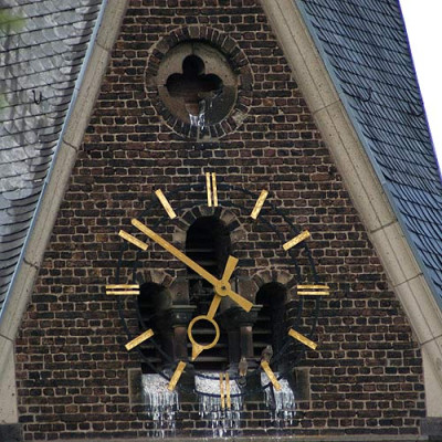 falkenfamiilie_5682.jpg
