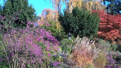 2015-10-31 Foerstergarten 26.jpg