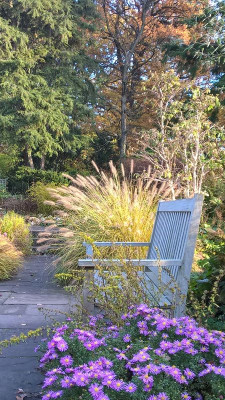 2015-10-31 Foerstergarten 27.jpg