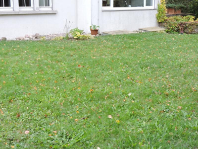 DSCN2495.JPG