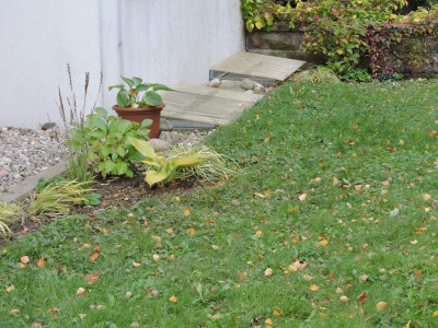 DSCN2496.JPG