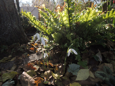 DSCN8503_993.JPG