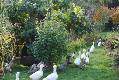 oktober 040.jpg