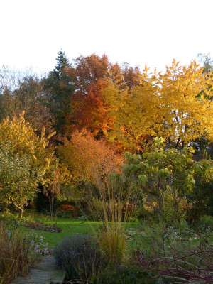 2015-11-01 Garteneinblick 1.jpg