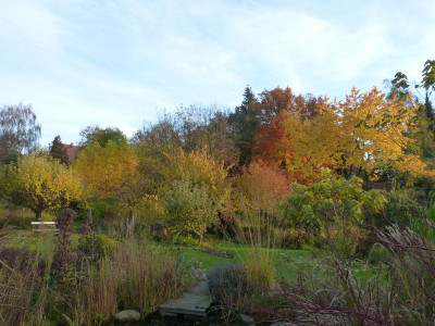 2015-11-01 Garteneinblick 2.jpg