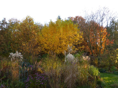 2015-11-01 Garteneinblick 3.jpg