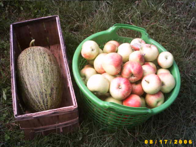 2006_0817Bild0011.JPG