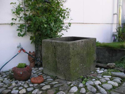 IMGP2515.JPG