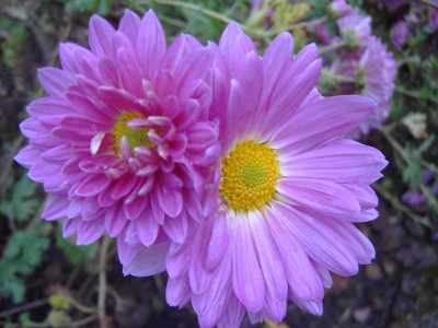 PICT0045.JPG