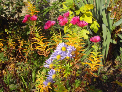 PICT0821.JPG