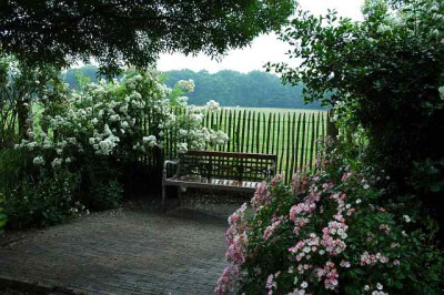 De_Roobaard_._7_25-06-2006.jpg