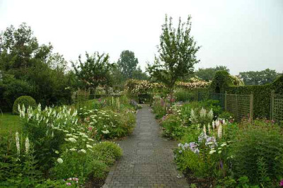 De_Roobaard_._6_25-06-2006.jpg