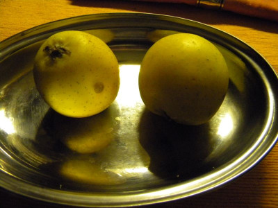 DSCN5072_6.jpg