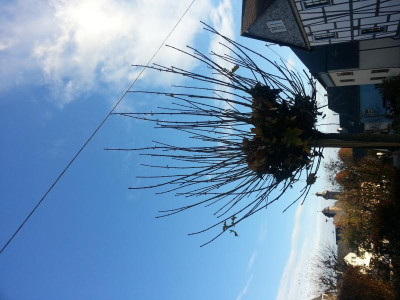 20151104_154304.jpg