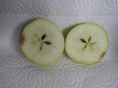 PB056118.JPG
