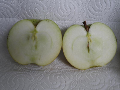 PB056119.JPG