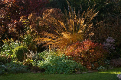 Herbst.003.JPG