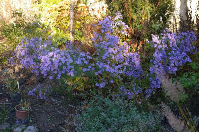 Herbst.015.jpg