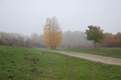 DSC_3484.JPG