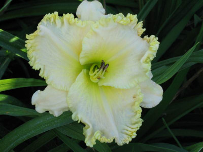 New_Direction_0982.jpg