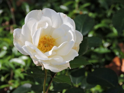DSCN2697.JPG